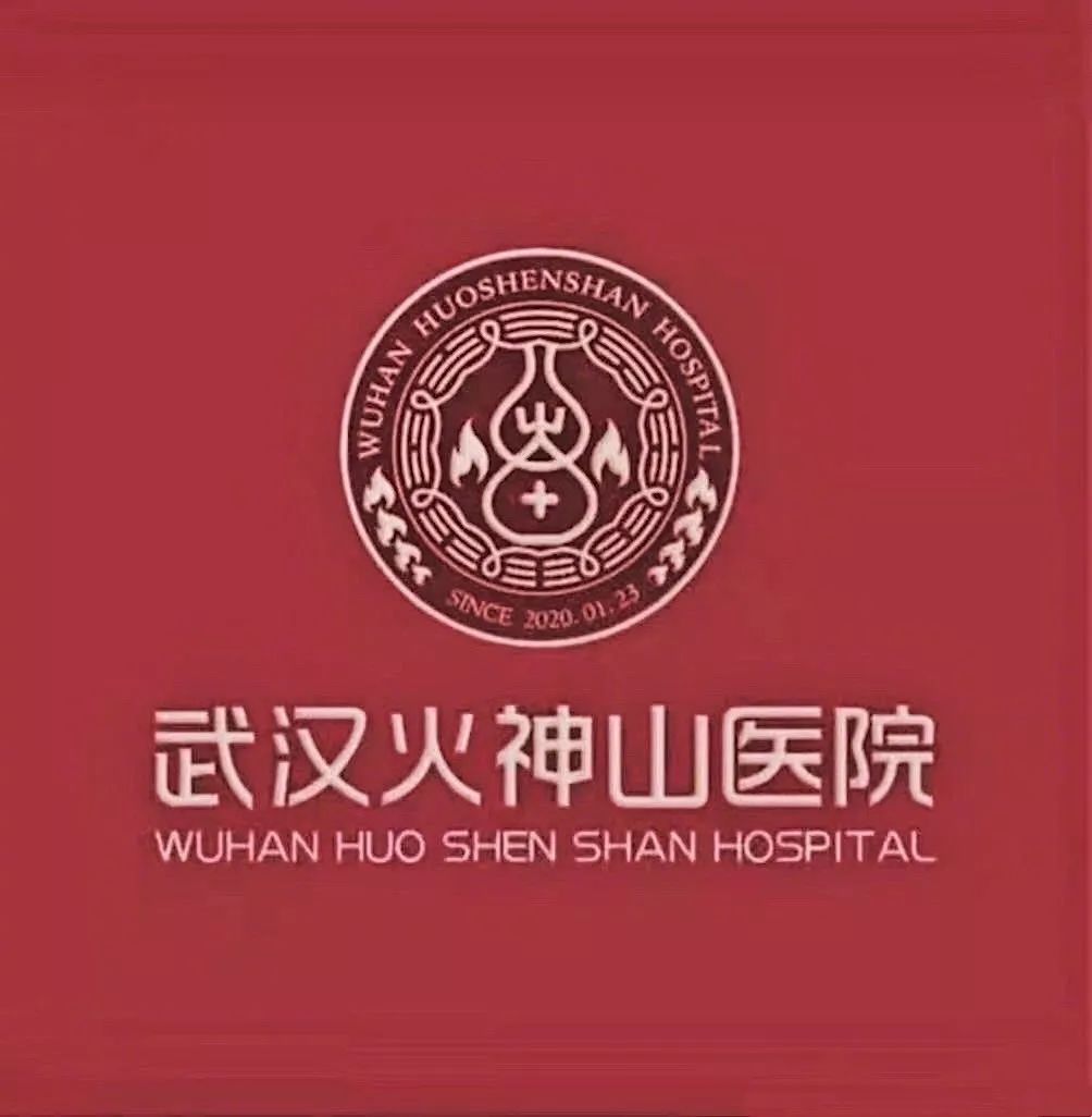 火(huǒ)神山(shān)醫院logo設計(jì)